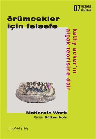 Örümcekler İçin Felsefe: Kathy Acker'ın Alçak Teorisine Dair