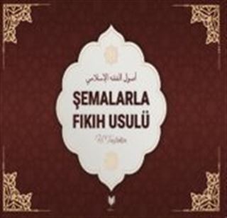 Şemalarla Fıkıh Usulü