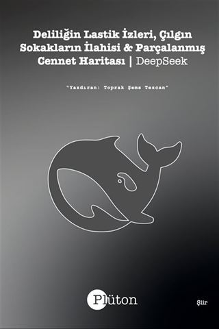 Deliliğin Lastik İzleri, Çılgın Sokakların İlahisi
