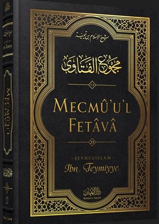 Mecmû'u'l-Fetava (25. Cilt)