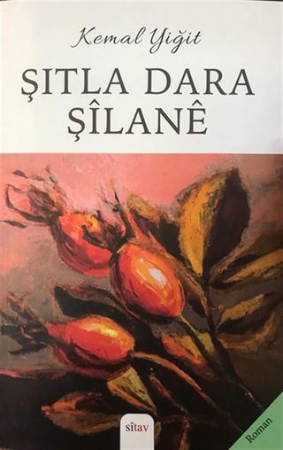 Şıtla Dara Şilane