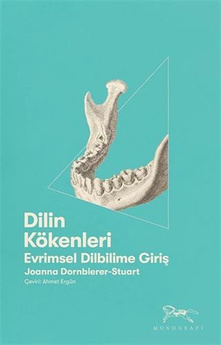 Dilin Kökenleri
