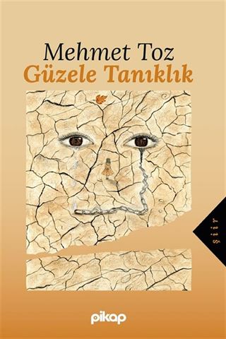 Güzele Tanıklık