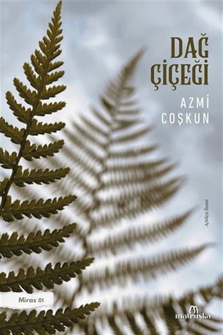 Dağ Çiçeği