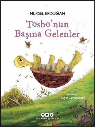 Tosbo'nun Başına Gelenler