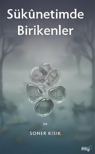 Sukunetimde Birikenler