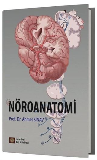 Nöroanatomi
