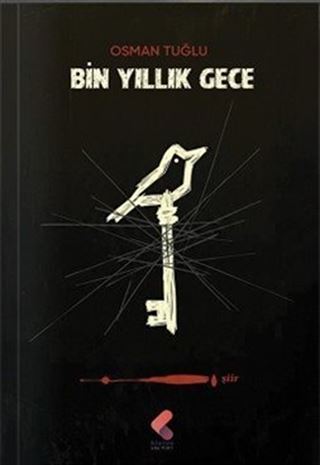 Bin Yıllık Gece