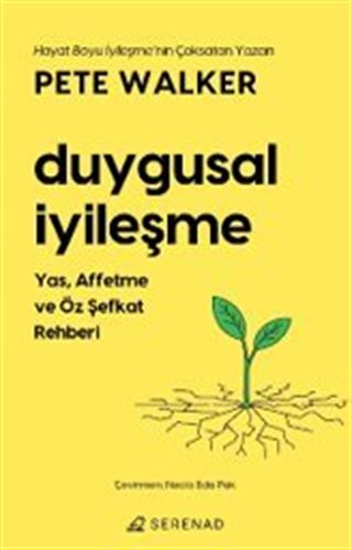 Duygusal İyileşme