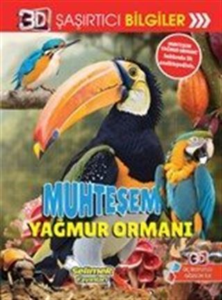 3D Şaşırtıcı Bilgiler / Muhteşem Yağmur Ormanı