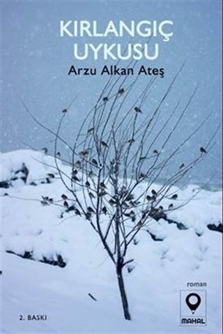 Kırlangıç Uykusu