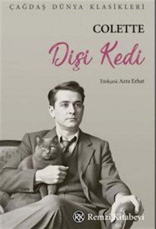 Dişi Kedi
