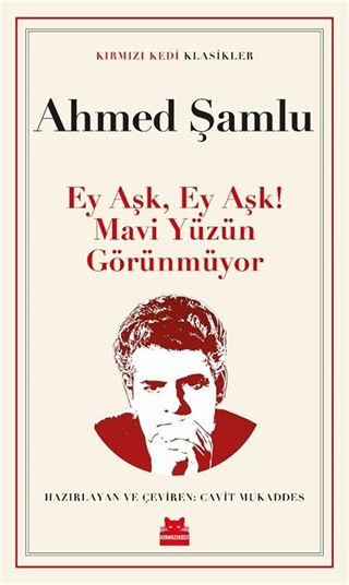 Ey Aşk, Ey Aşk! Mavi Yüzün Görünmüyor