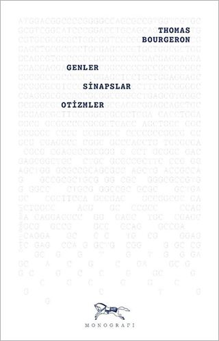 Genler, Sinapslar, Otizmler