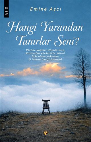 Hangi Yarandan Tanırlar Seni?