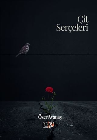 Çit Serçeleri
