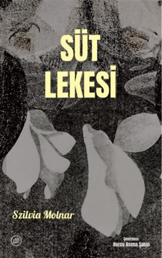 Süt Lekesi