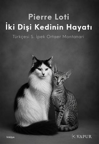 İki Dişi Kedinin Hayatı