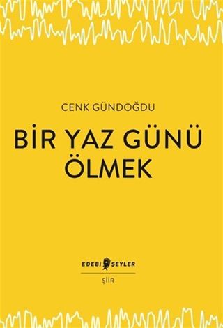 Bir Yaz Günü Ölmek