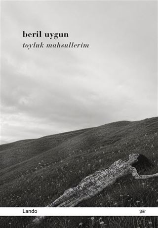 Toyluk Mahsullerim