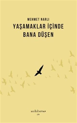 Yaşamaklar İçinde Bana Düşen