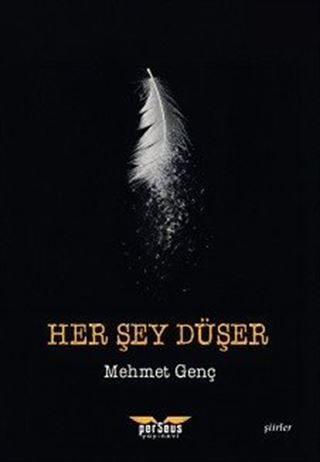 Her Şey Düşer