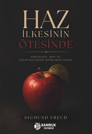 Haz İlkesinin Ötesinde