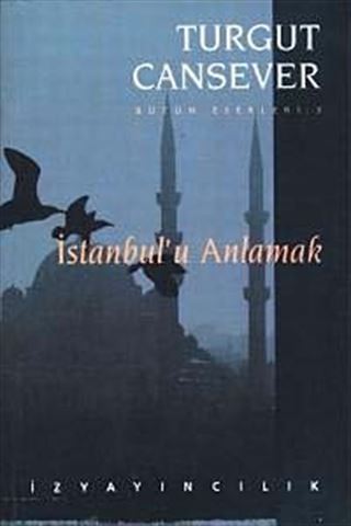 İstanbul'u Anlamak