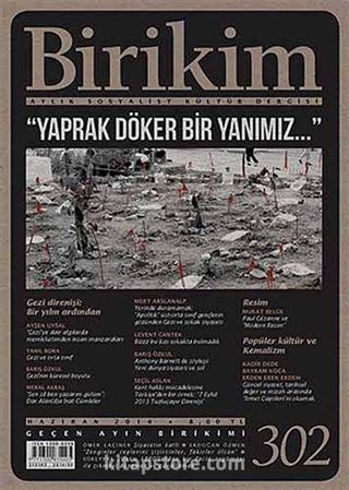 Birikim / Sayı:302 Yıl:2014 / Aylık Sosyalist Kültür Dergisi