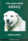 Türk Çoban Köpeği Akbaş