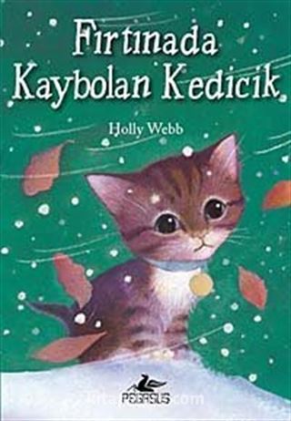 Fırtınada Kaybolan Kedicik