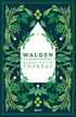 Walden - Ormanda Yaşam