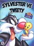 Sylvester ve Tweety Örnekli Boyama Kitabı