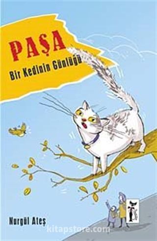 Paşa
