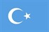 Doğu Türkistan Bayrağı (20x30)