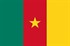 Kamerun Bayrağı (20x30)