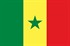 Senegal Bayrağı (20x30)