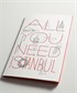All You Need Istanbul