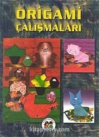 Origami Çalışmaları