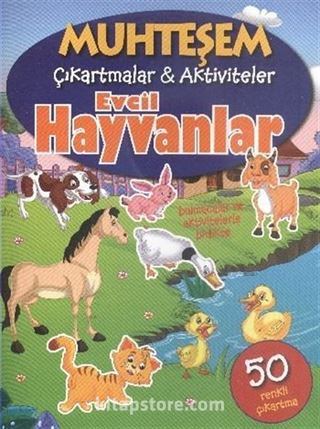 Muhteşem Çıkartmalar Aktiviteler - Evcil Hayvanlar