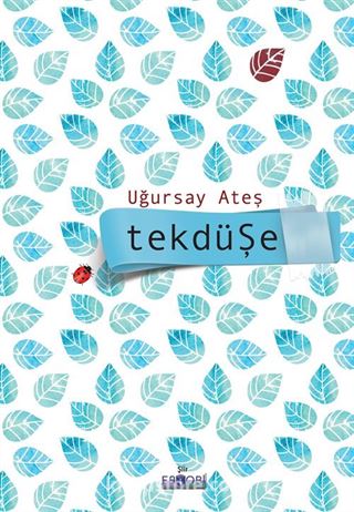Tekdüşe