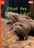 What Are Otters Like? +Downloadable Audio (Compass Readers 2) A1