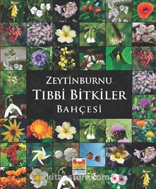 Zeytinburnu Tıbbi Bitkiler Bahçesi