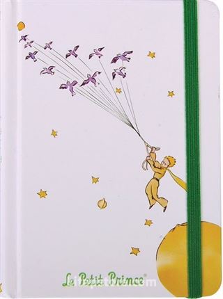 Küçük Prens Defter (KPR202)