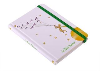 Küçük Prens Defter (KPR202)