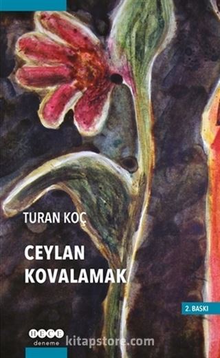 Ceylan Kovalamak