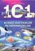 Bilmen Gereken 101 Şey / Sudaki Hayvanlar ve Köpekbalıkları