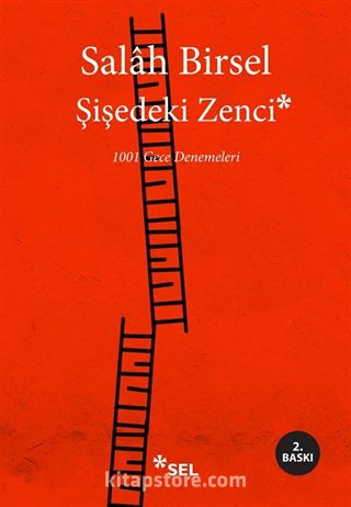 Şişedeki Zenci (1001 Gece Denemeleri)