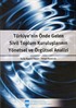 Türkiye'nin Önde Gelen Sivil Toplum Kuruluşlarının Yönetsel ve Örgütsel Analizi