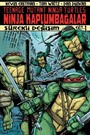 Ninja Kaplumbağalar Cilt 1